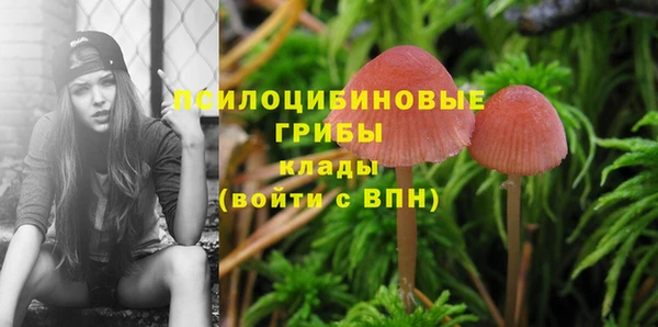 трава Краснотурьинск