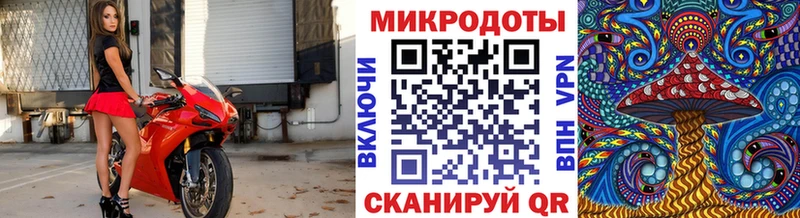 Галлюциногенные грибы Magic Shrooms  shop официальный сайт  Томилино  где купить наркоту 